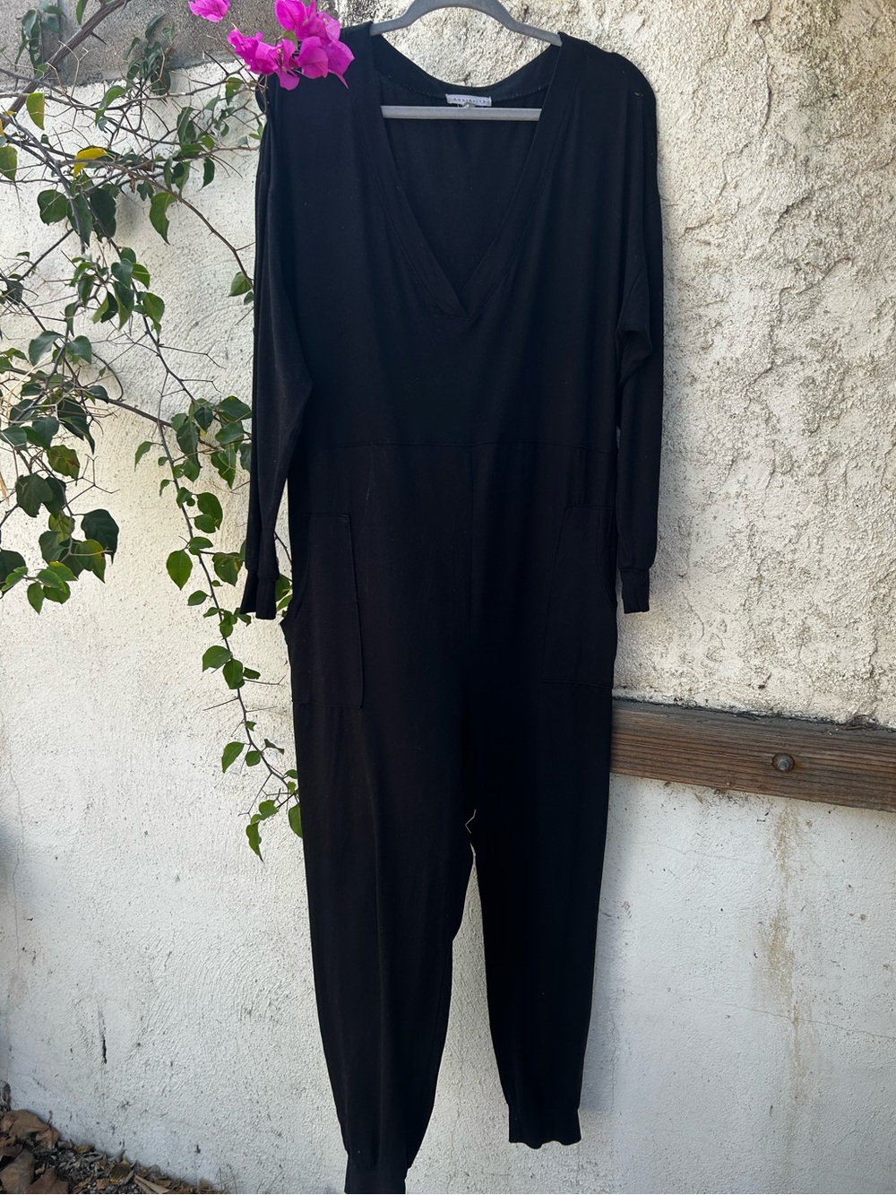 Socialite Long Sleeve V-Neck Jumpsuit